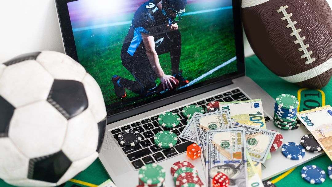 11xplay – India's Most Trusted Online Betting & Live Casino Platform, 11xplay, 11xplay Pro
