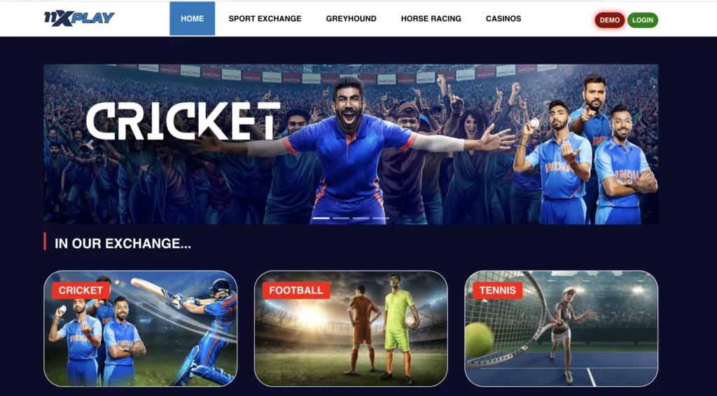 11xplay Issues & Solutions, 11xplay, 11xplay Pro